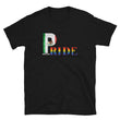 Load image into Gallery viewer, LGBTQIA PRIDE Unisex T-shirt with Mexican Flag