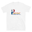 Load image into Gallery viewer, LGBTQIA PRIDE Unisex T shirt with Panamanian Flag